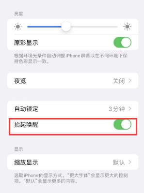 泌阳苹果授权维修站分享iPhone轻点无法唤醒怎么办
