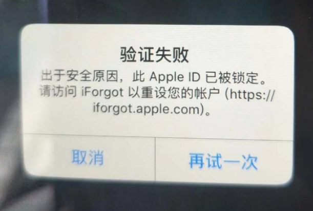 泌阳iPhone维修分享iPhone上正常登录或使用AppleID怎么办 