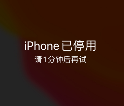 泌阳苹果手机维修分享:iPhone 显示“不可用”或“已停用”怎么办？还能保留数据吗？ 