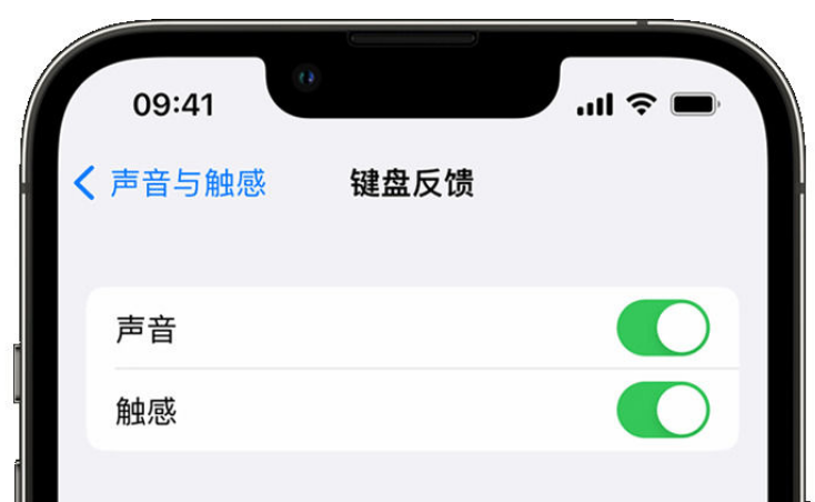 泌阳苹果手机维修分享iPhone 14触感键盘使用方法 