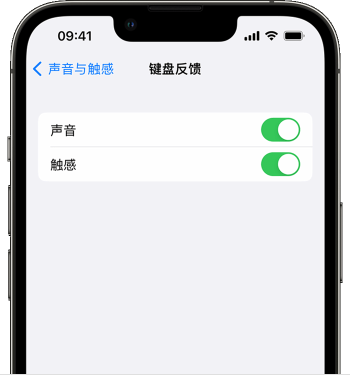 泌阳苹果14维修店分享如何在 iPhone 14 机型中使用触感键盘 