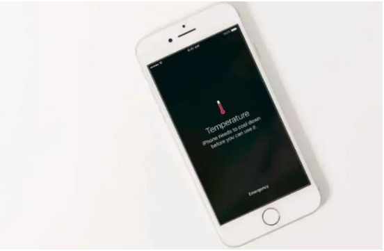 泌阳苹果手机维修分享iPhone 手机发热如何快速降温 