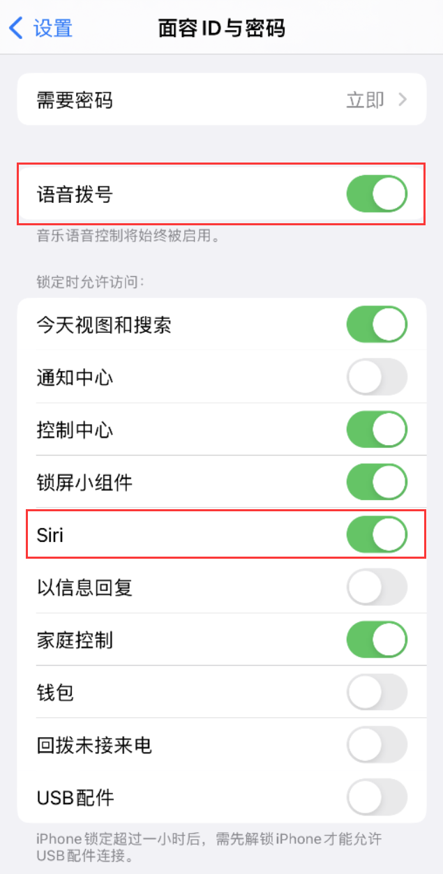 泌阳苹果维修网点分享不解锁 iPhone 的情况下通过 Siri 拨打电话的方法 