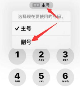 泌阳苹果14维修店分享iPhone 14 Pro Max使用副卡打电话的方法 