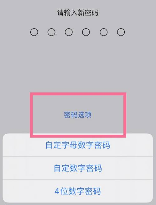 泌阳苹果14维修分享iPhone 14plus设置密码的方法 