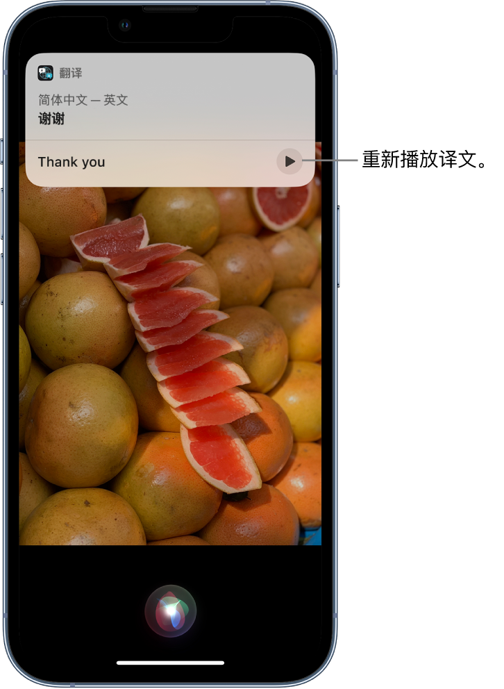 泌阳苹果14维修分享 iPhone 14 机型中使用 Siri：了解 Siri 能帮你做什么 