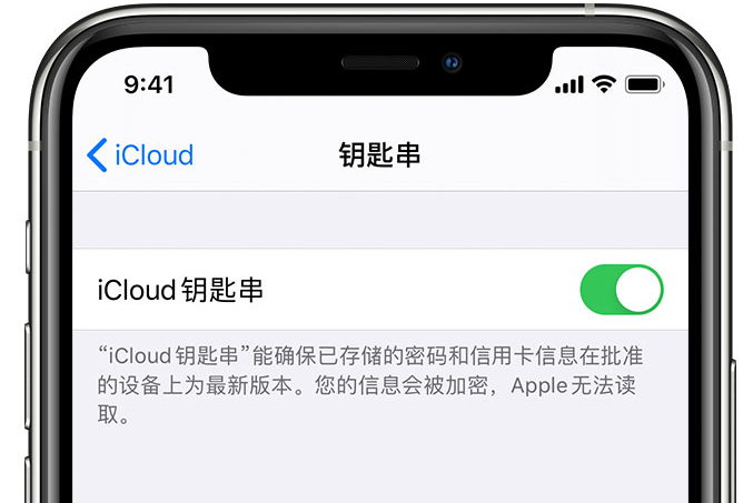 泌阳苹果手机维修分享在 iPhone 上开启 iCloud 钥匙串之后会储存哪些信息 
