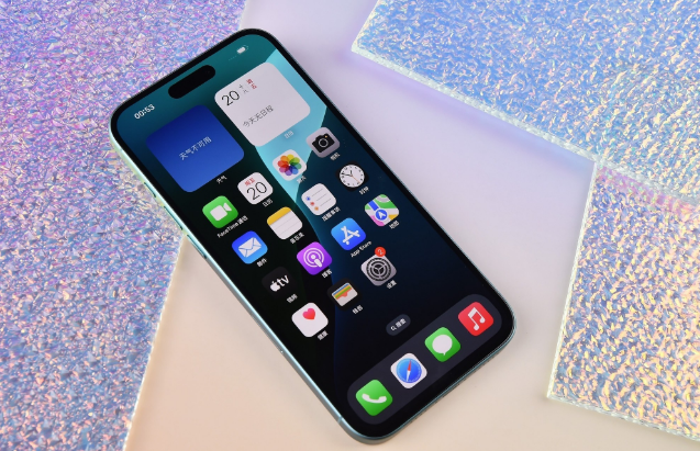 泌阳苹果手机维修分享为什么大家不喜欢苹果iPhone 16 Plus 