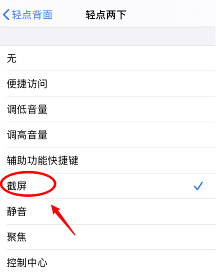 泌阳苹果手机维修分享iPhone12如何启用双击截屏 