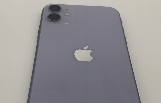 泌阳苹果11系统维修分享iPhone11手机系统崩溃无法开机如何解决 